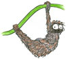 Sloth's Avatar