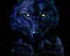 Black Wolf