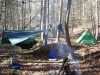 Big Creek 2-'08 by pisgahfan in Hammock Landscapes