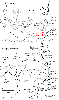 West Fork Map