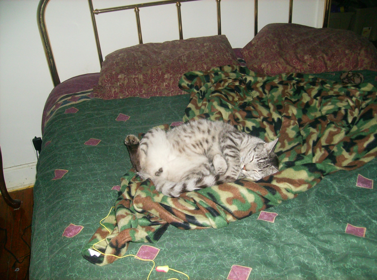 My Cat And My Camo Snuggie