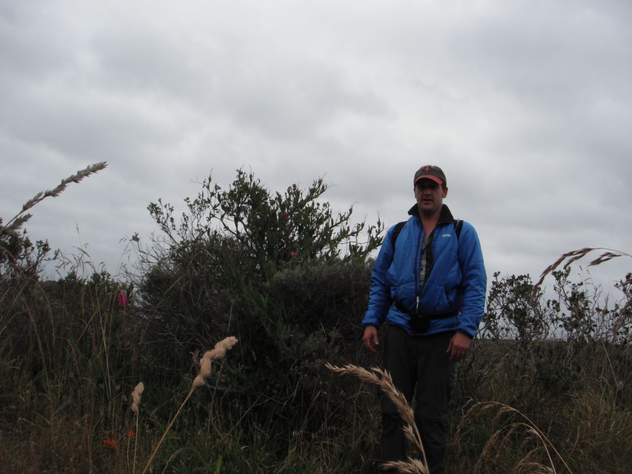 Orchids At Point Reyes