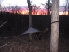 Ozark Sunset Over My Hh by kwpapke in Hammock Landscapes