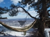 Colorado by ringtail-THFKAfood in Hammock Landscapes