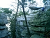 The Pinnacle perch by 2Questions in Hammock Landscapes