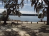 Second Annual Florida Hang by hangNyak in Hammock Landscapes