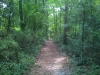 Bike Camping At Ichetucknee--trail Photos