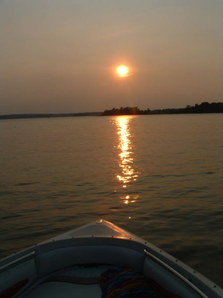 Blackbird Sighted On Lake Hartwell