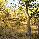 Auburn NP by ofuros in Hammock Landscapes