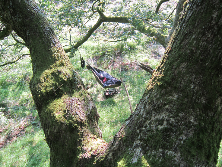 Hammock Hang On The Black Mountain In South Wales 22nd July 2012