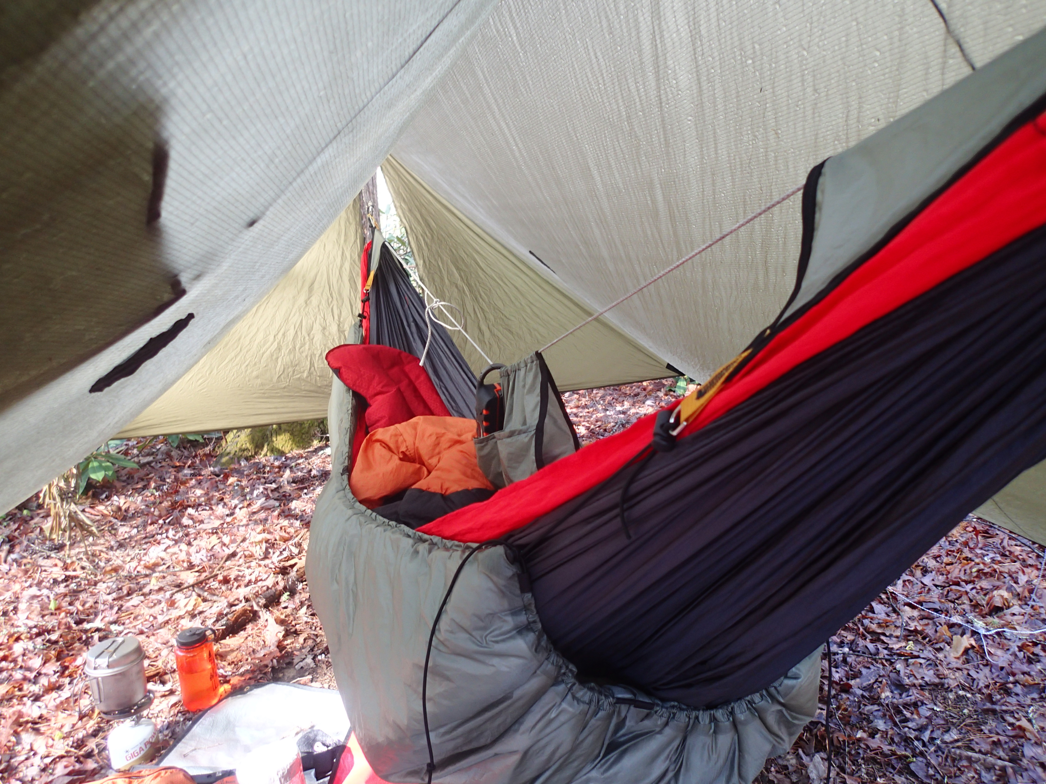 Hammock in Linville Gorge