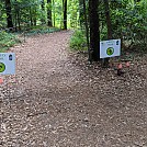 Congaree NP