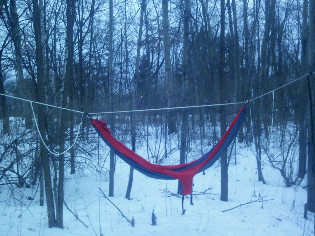 Eno Sn W/diy Whoopies