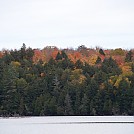 leaf colours past peak on hambone lake by quiet in Group Campouts