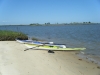 Francis Marion Nf-santee Coastal Reserve