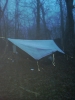 New Year's Eve Springer Mtn. by MedicineMan in Group Campouts