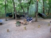 6 Hammock Camp, Hanging Rock State Park, Nc by NCPatrick in Group Campouts