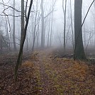 Foggy morning on the AT by doogie in Hammock Landscapes