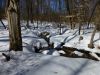 Cabin Camping Hf Style by doogie in Hammock Landscapes