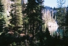 2nd And 3rd Days At Cramer Lakes, Sawtooth Mtns, Id by BillyBob58 in Hammock Landscapes