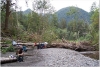 Olympic and North Cascades NP Trip by BillyBob58 in Hammock Landscapes