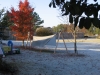 frosty MS Nov morn by BillyBob58 in Hammock Landscapes