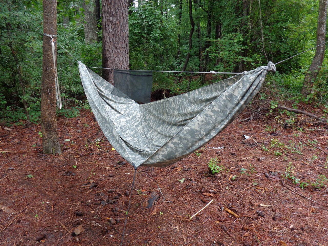 Hammocks