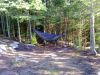 Warbonnet Blackbird by va3rbz in Hammocks