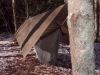 1st annual winter camp-out w/ hammockfourms