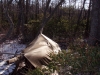 shortoff mtn, nc feb 07 by slowhike in Group Campouts