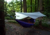 Catoctin Park, MD Sept. 2010 by AndyB in Hammock Landscapes