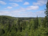 Crosby-Manitou State Park by MrGreen in Hammock Landscapes