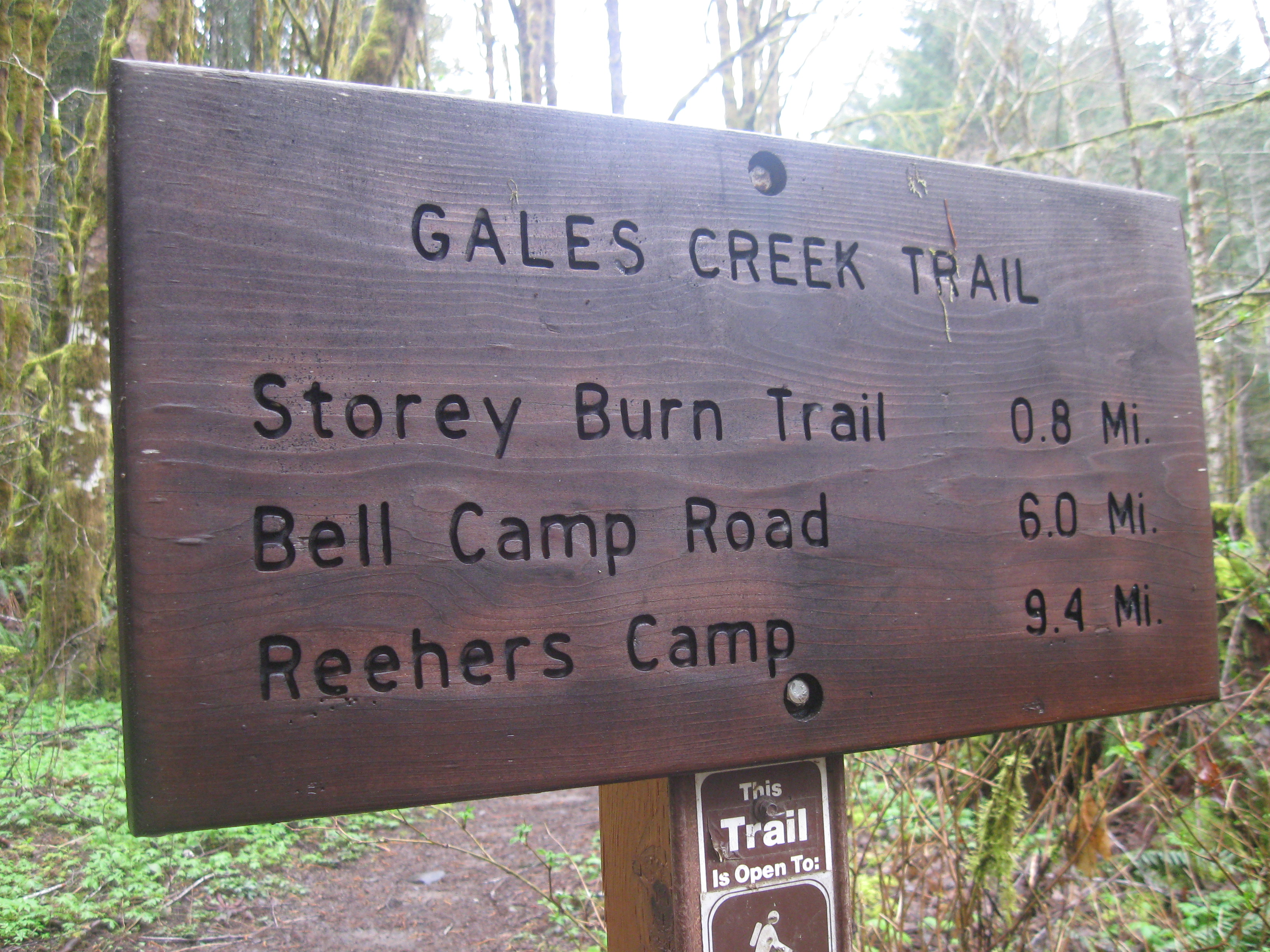 hike in the tillamook burn