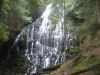 Ramona Falls by nuttysquirrel in Hammock Landscapes