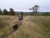 Bonaparte And Wv At Dolly Sods by Knotty in Faces