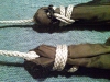 Whoopie Sling Attachment To Hh by Knotty in Images for homemade gear forums directions