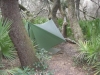 Cumberland Island Hike & Hang January 2011 by Sweeper in Group Campouts