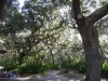 Cumberland Island Hike & Hang January 2011