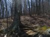 Appalachian Trail Hike by Speedy in Hammock Landscapes