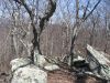 Appalachian Trail Hike by Speedy in Hammock Landscapes