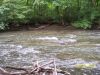 Mohican 1 - Clear Fork River Rapids by Trail Runner in Hammock Landscapes