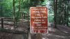 Mohican 3 - Lyons Falls Trail Sign by Trail Runner in Hammock Landscapes