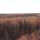 Mohican State Forest