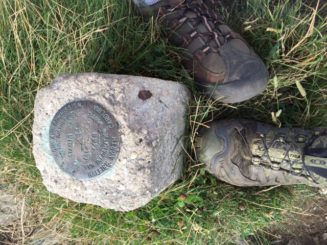 Big Bald marker