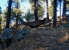 Planet Hammock Review