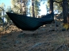 Planet Hammock Review