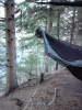 Jay Cooke St Park '10 by Booya in Hammock Landscapes