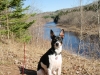 Jay Cooke St Park '10 by Booya in Hammock Landscapes