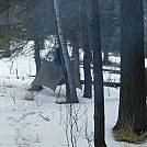 hammock winter by frenchycamp in Hammocks