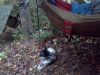 Red River Gorge, Ky Oct 2013 by RadicalHope in Hammocks
